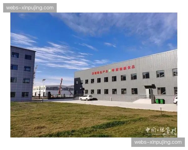 联名权益自动清算逻辑 解决跨产业协作对账难题